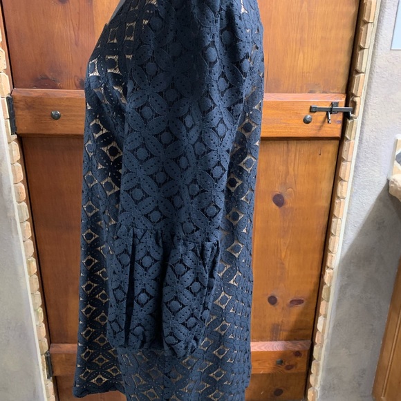 Anna Sui for Anthropologie, black, size 10 dress, gently used - Picture 2 of 12